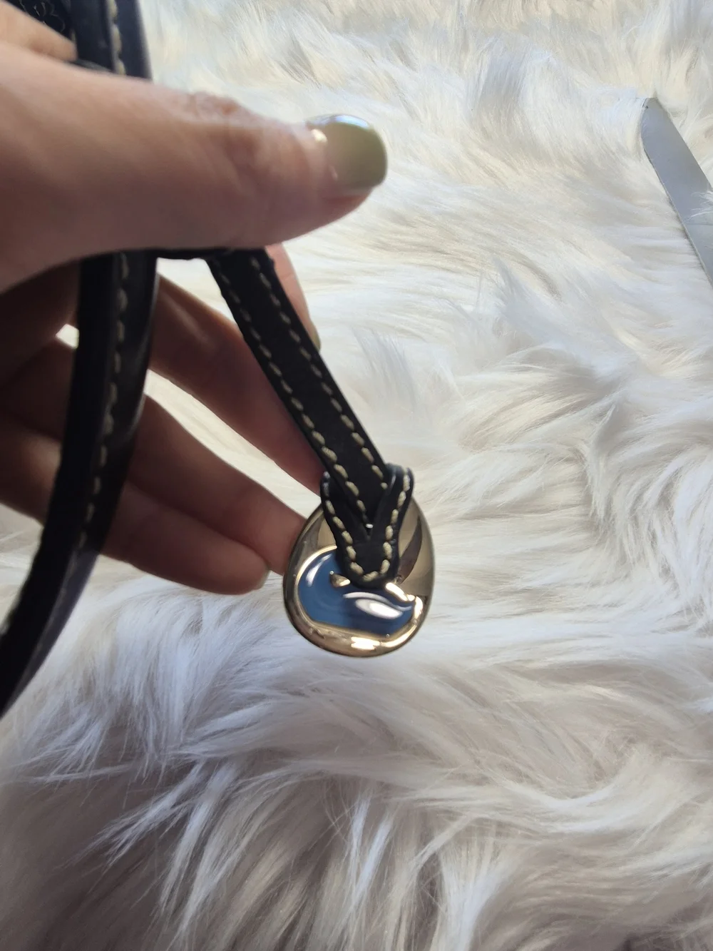 Dooney & Bourke classic black